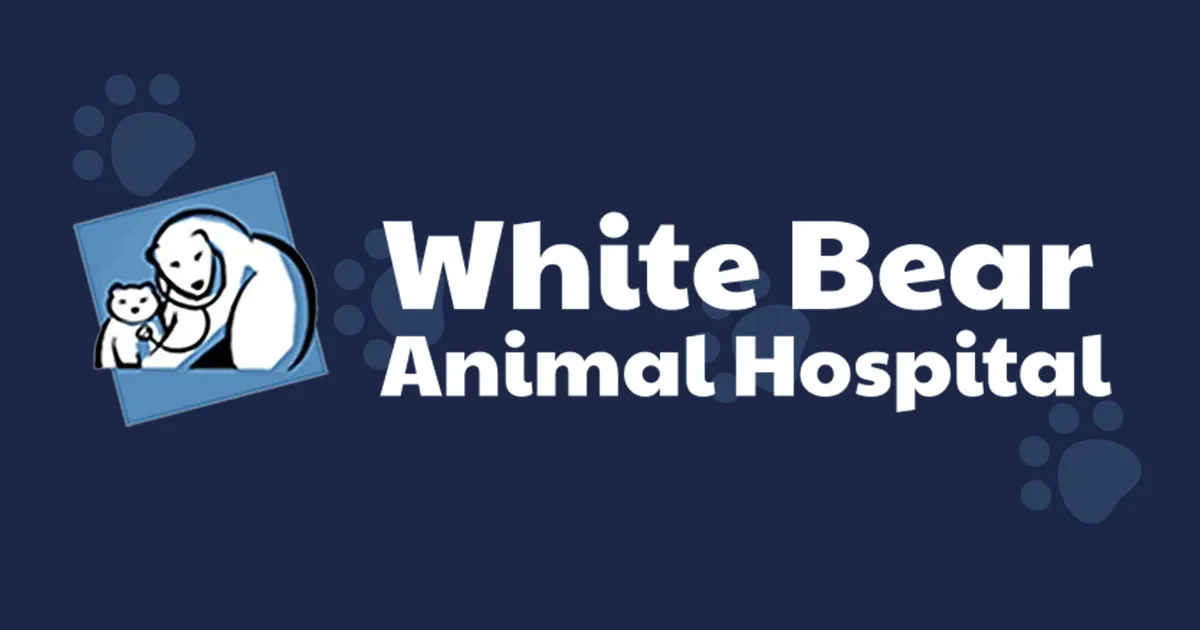 Picture of Canine Hypothyroidism - White Bear Animal Hospital